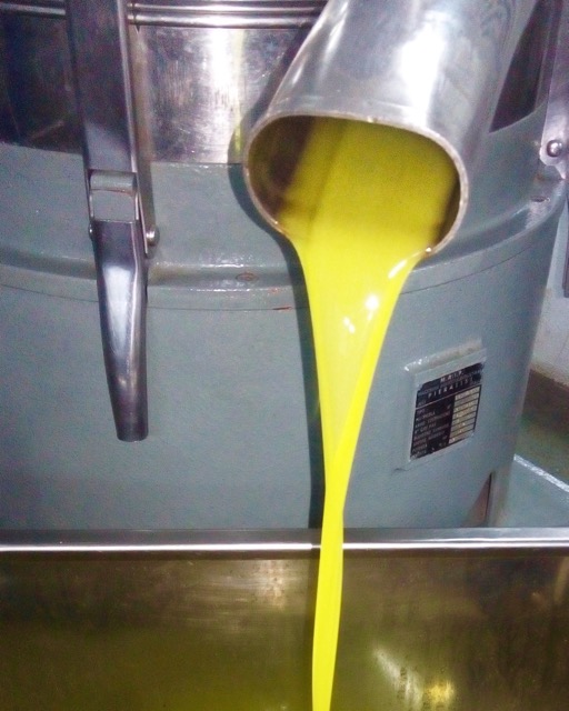 Process of pressing hand-picked olives and making olive oil. Guests visit the pressers during their olive picking holidays.