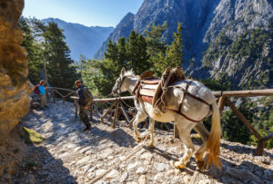 Crete is one of the best vacation spots for seniors in Greece. Samaria Gorge in central Crete.